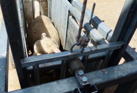 Célula de carga - Modelo 340 - Imagen 3